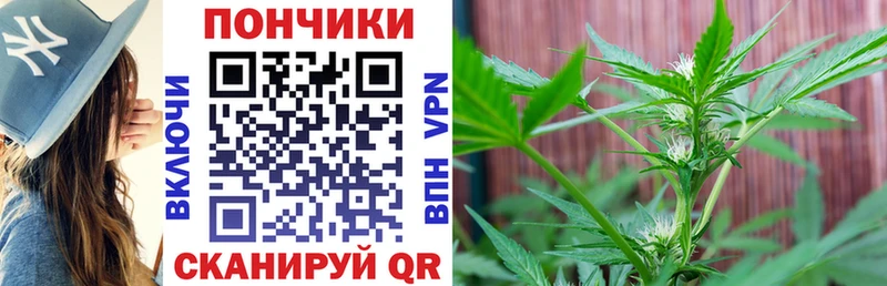 Продажа наркотиков Светогорск A-PVP  Конопля  МЕФ  Гашиш 