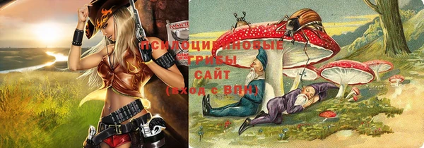 PSILOCYBIN Баксан